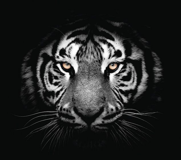 Креативная реклама ВТБ