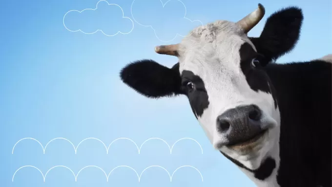 Креативные йогурты Березка