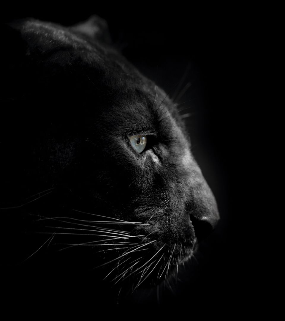 Креатив для банковского премиум продукт