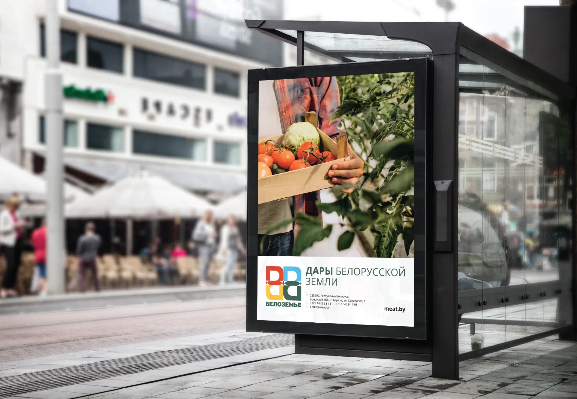 Брендинг агрохолдинга