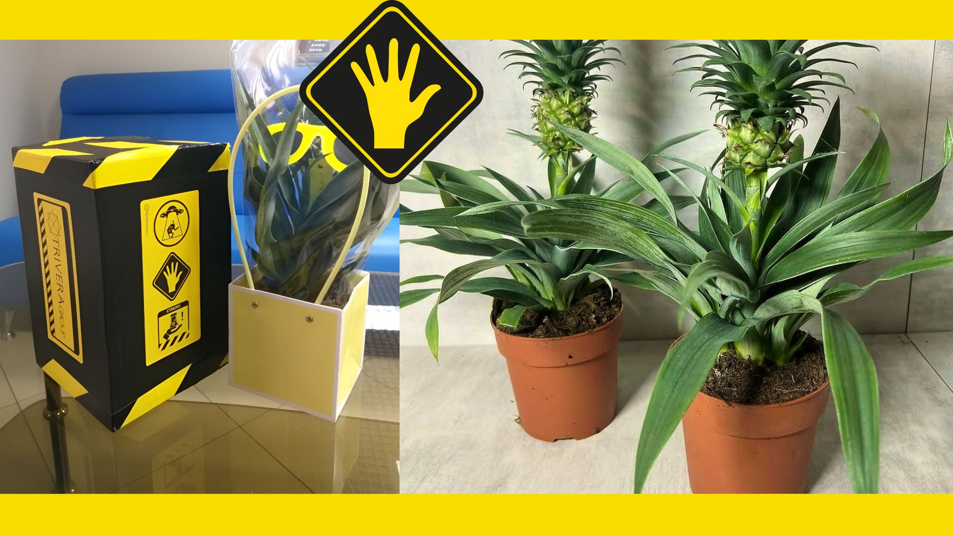 корпоративные новогодние подарки