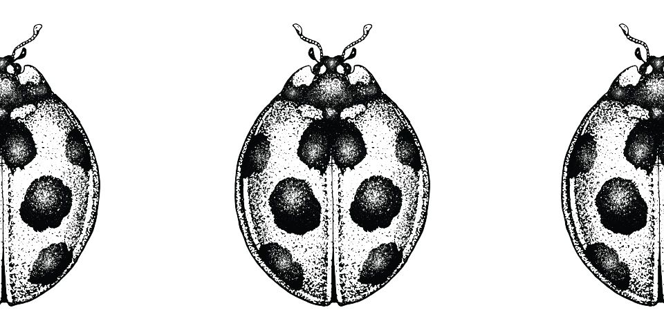 Кропка - белорусские товары