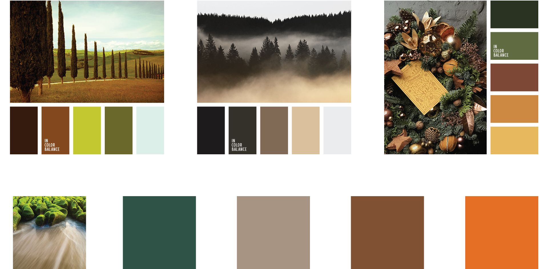 Цветовая схема для изделий домашнего копчения