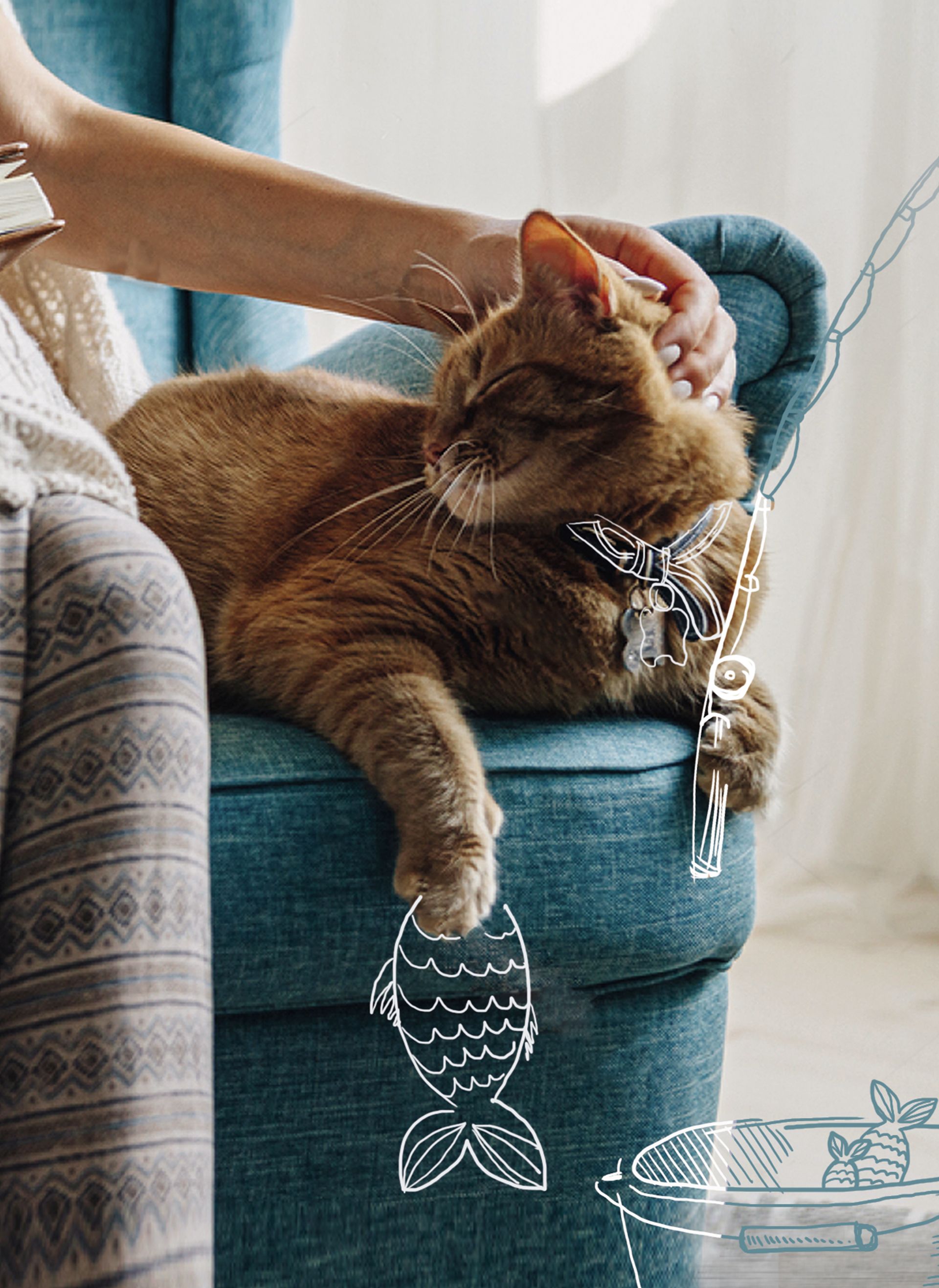 Иллюстрация кот